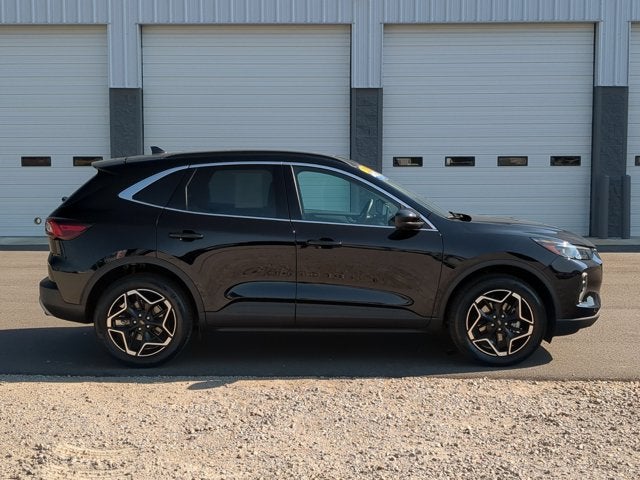2026 Ford Escape Hybrid Platinum