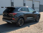 2026 Ford Escape Hybrid Platinum