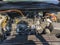 2026 Ford Escape Hybrid Platinum