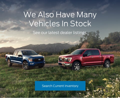 Ford vehicles in stock | Lee Ford of Wilson in Wilson NC