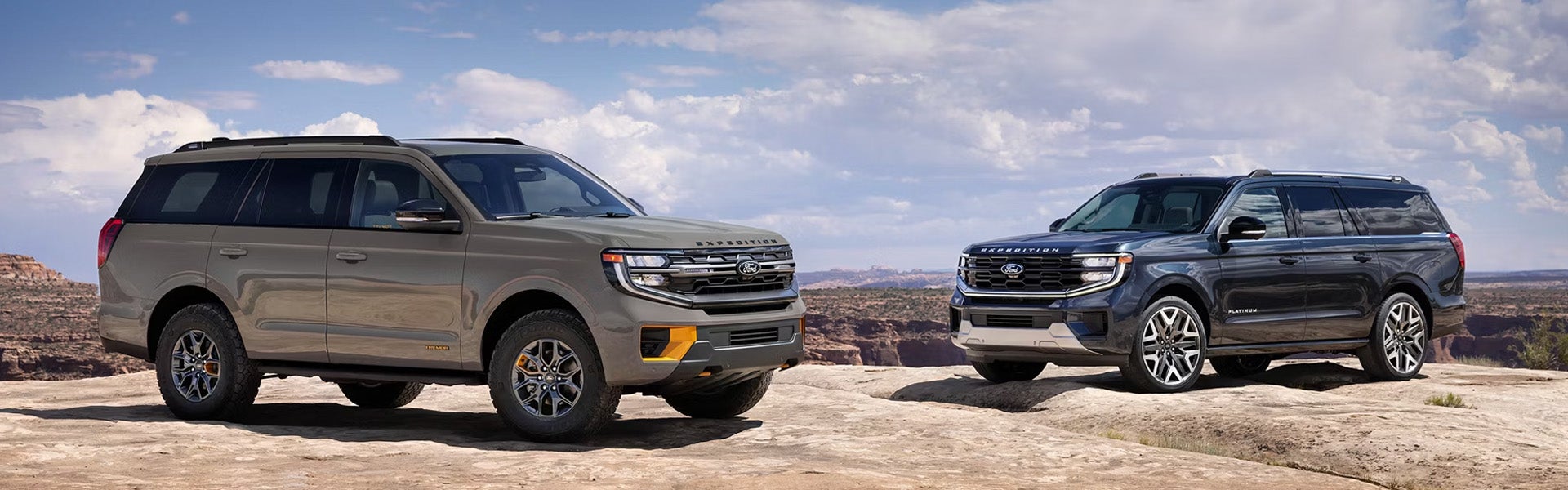 2026 Ford Expedition in Wilson