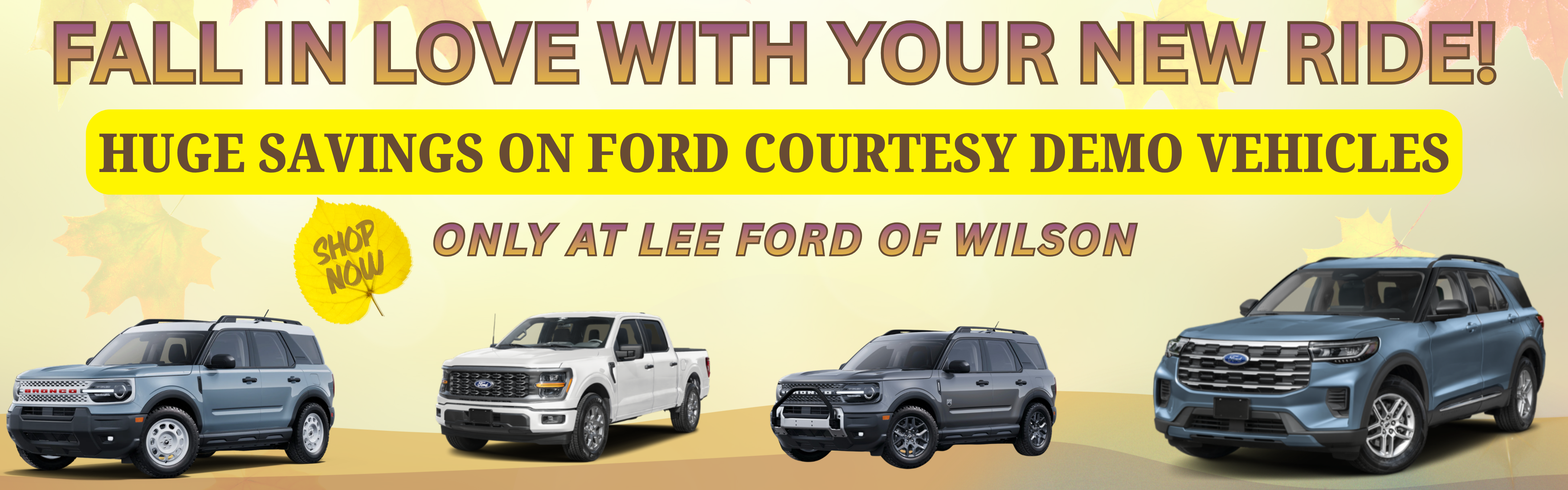 Lee Ford of Wilson Fall Demo Sale